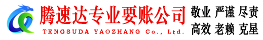 滨湖讨债公司